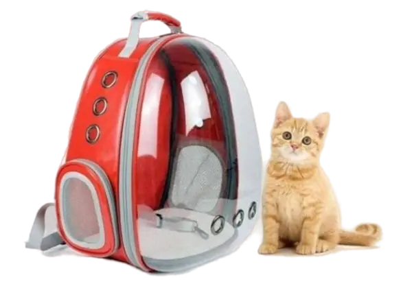 Transparent Cartoon Carry Bag